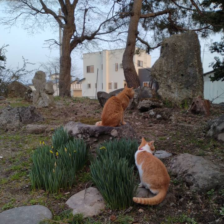 20f0a0a1 111c 4691 9bc3 bbb82a6579cf 1744967778846