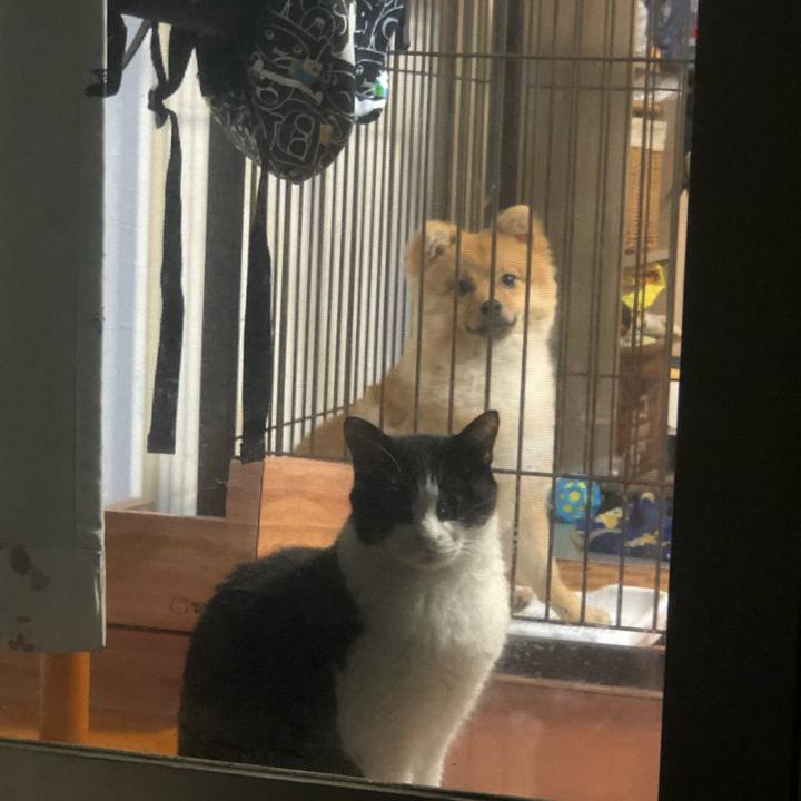 20f0af98 a32c 4b05 bc0a 8d850992712b 1596015536856