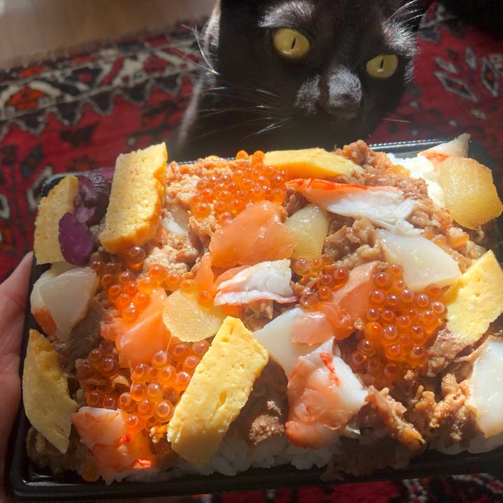 20f0b085 9678 4f41 a502 f1732e9696ea 1646960601789