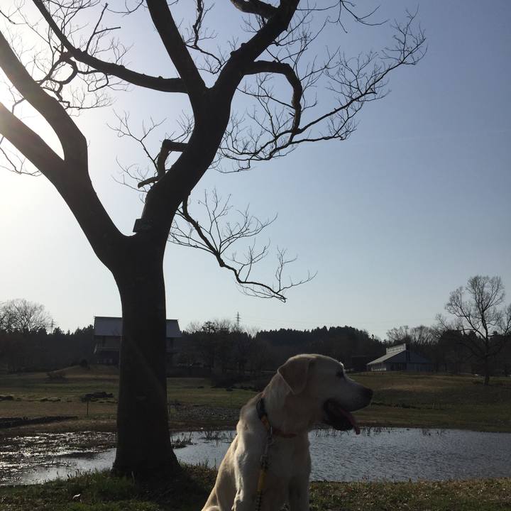 20f0ccc6 2f0f 4b71 ac9f 138d9ce40638 1523012536740