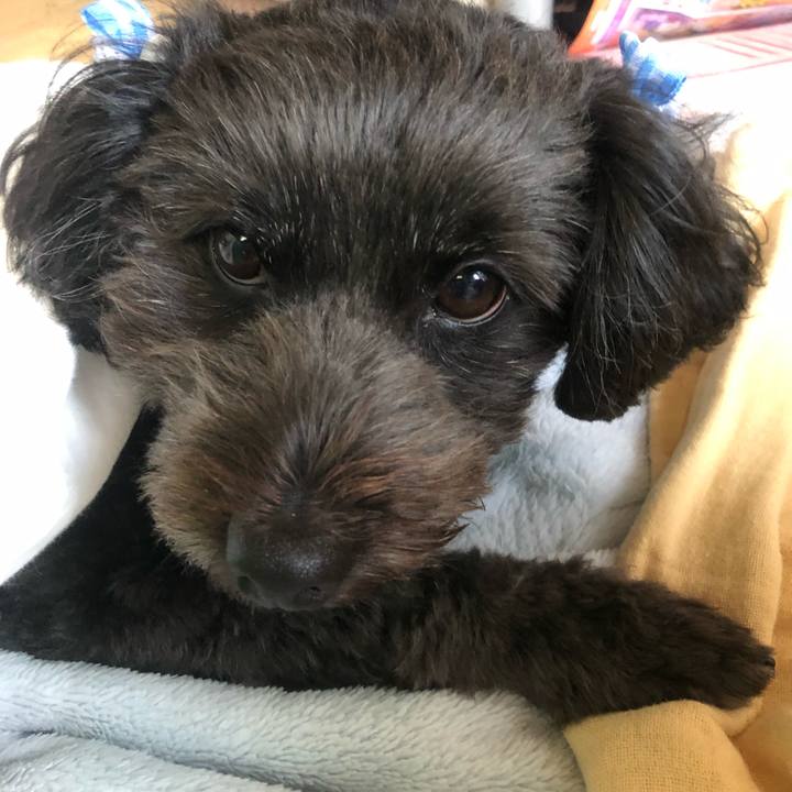 20f0d7e7 4354 418b 8856 7b8425b09c26 1542610016144