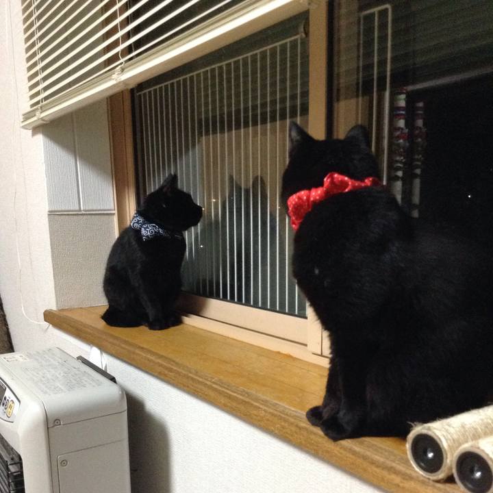 20f0edf3 1b9f 4f82 bd24 848b46c90cbd 1570049763649