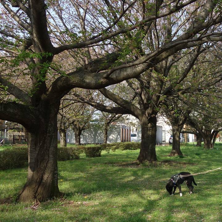 20f0f742 b67d 4d43 8e68 990e9ba0df4d 1649724826974