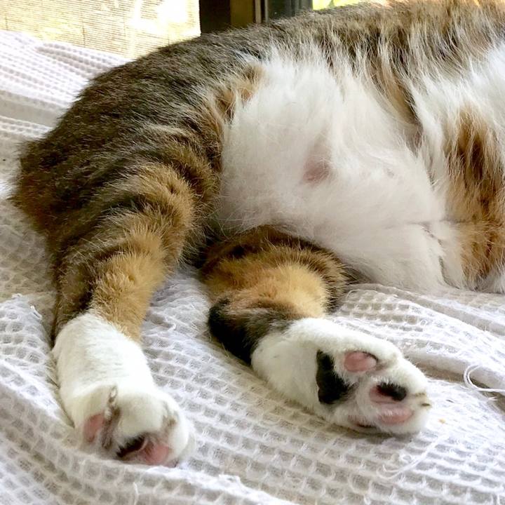 20f14ca7 5835 423d a661 3bc33ea45c5e 1558490928445