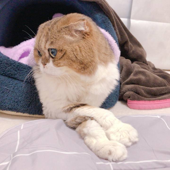 20f15dc2 cade 49ed 9cee ad8761e59b5b 1680700485615