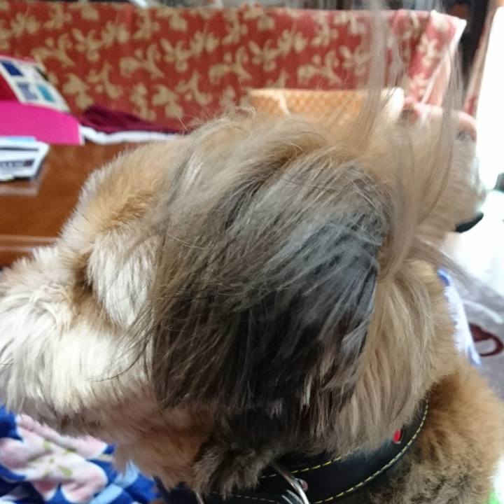 20f177c8 3c27 4ebe 869e 3e6da4685657 1515304263063