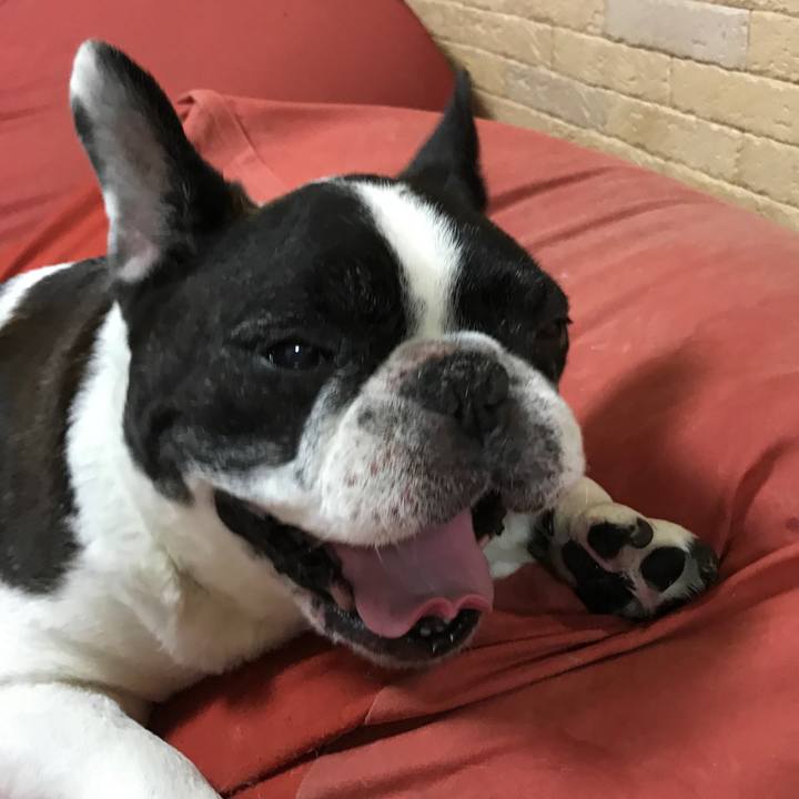 20f193dd 92f7 411d 9e32 fa9982c2916e 1516303085013