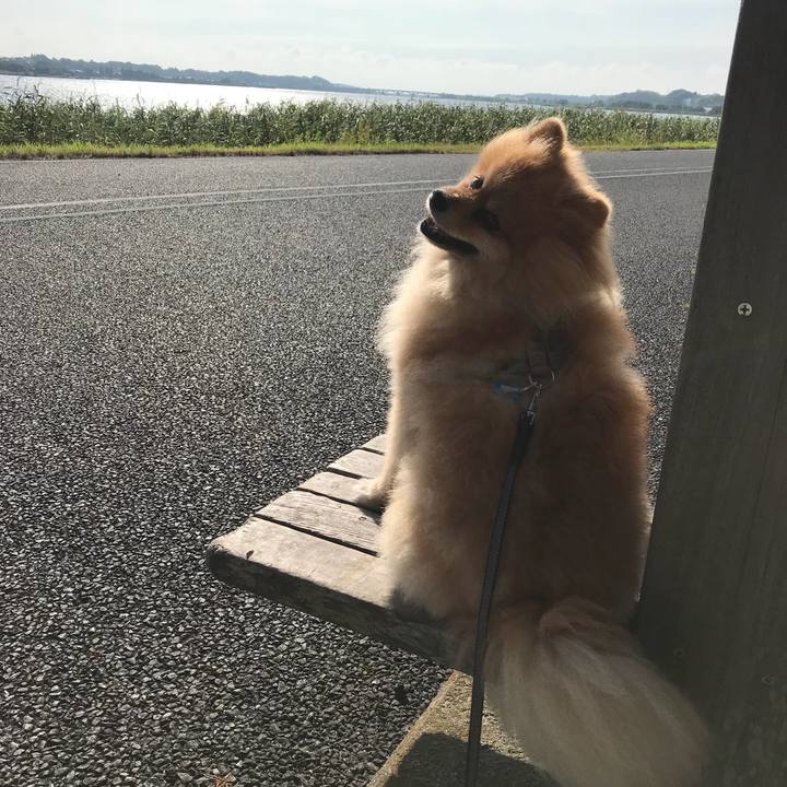 20f1bbf8 e1f7 47b4 8f1f 5a81dc14ed27 1532652119097