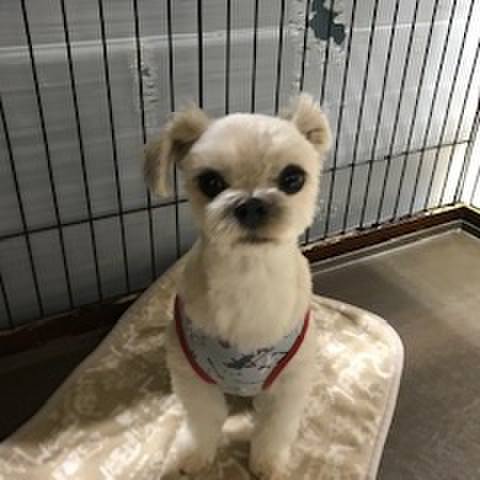 20f1cf24 0cd8 4d97 93ce 39150f5e8f2f 1544527710193