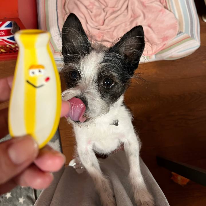 20f1dfc3 f8ed 4a7b a148 6146fe9e9b01 1650067313857