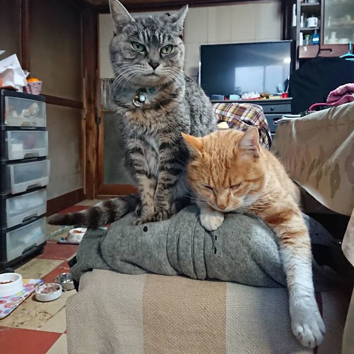 20f1e8f2 a403 4aa0 a33c 27840a9810c3 1577517536081