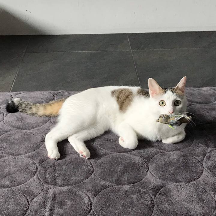 20f23eb6 687b 4afc b5f0 54a93b0ff5f4 1542009805083