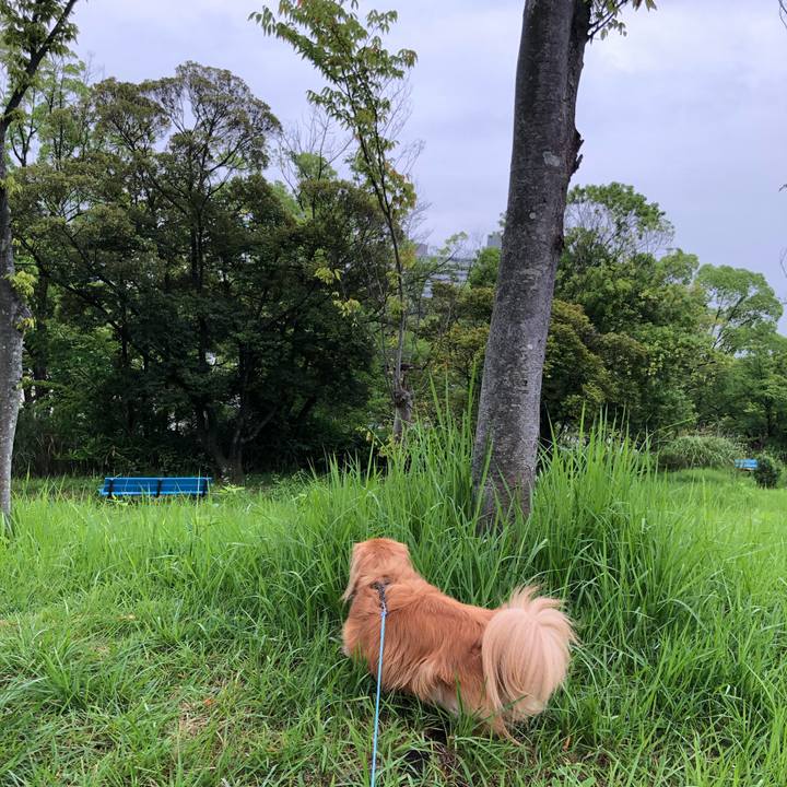 20f29516 83ea 4e7c 9426 25d78d6f7ce0 1562796334929