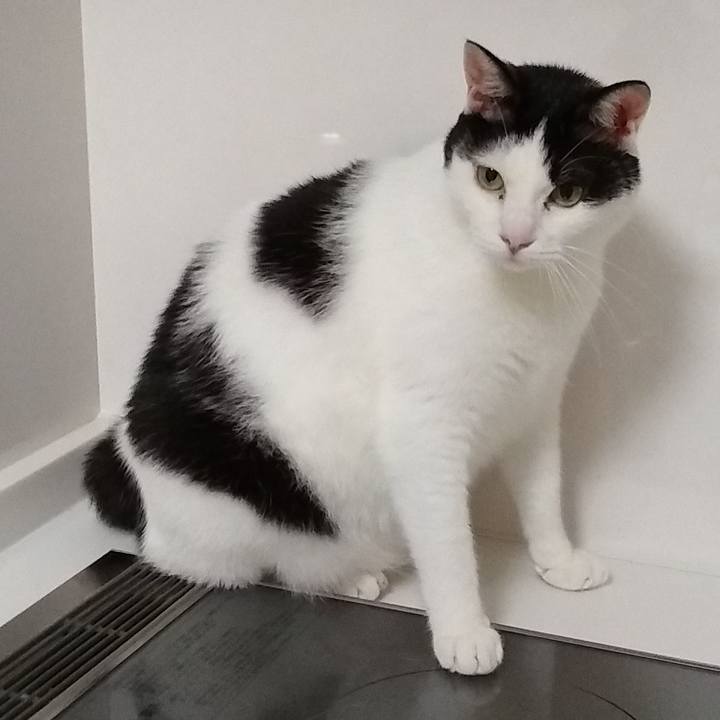 20f2cc92 4fa7 4ff6 9622 51e5e89ca696 1566661154368