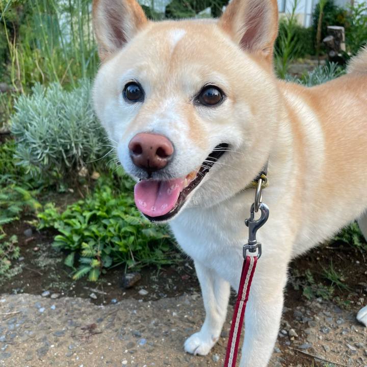 20f2d7a1 f84b 4634 874e ac14ea7ac7cd 1692365327349