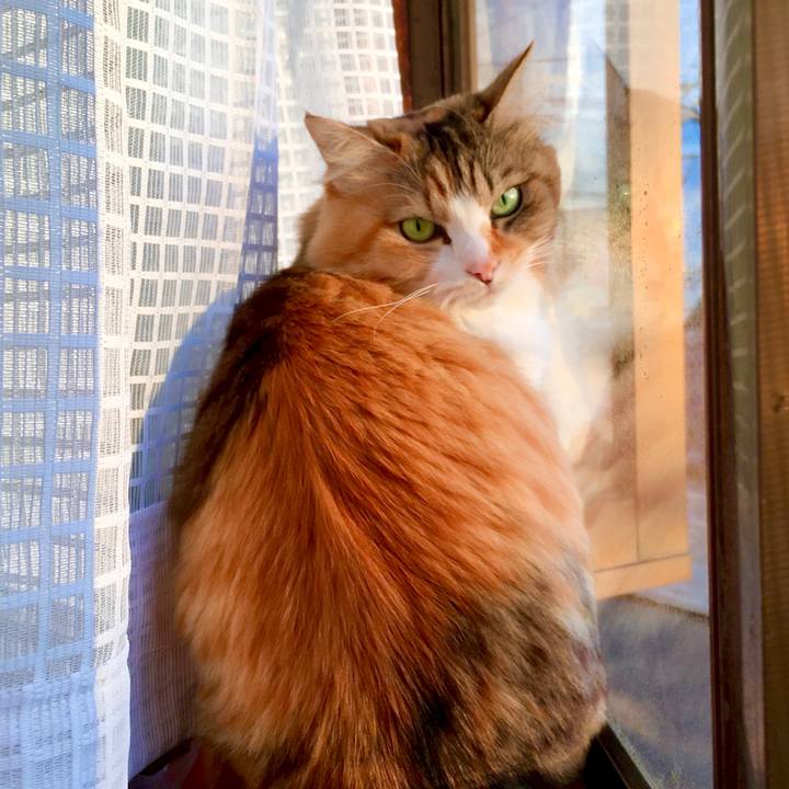 20f2f5b9 c0d2 466f 86cf bc4ea1d58a42 1575270898718