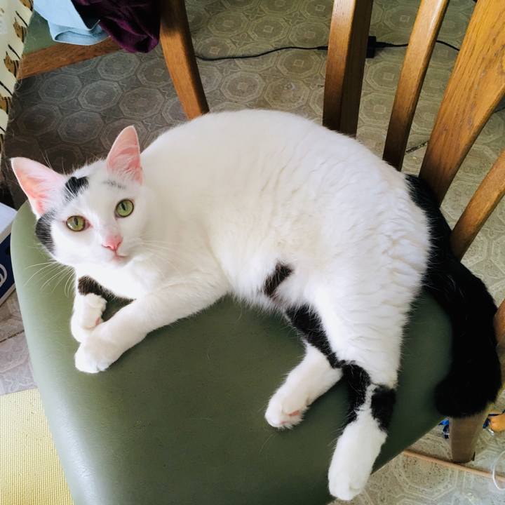 20f3096f 5ee8 453c 8417 6a6c5bc2d070 1564038127556