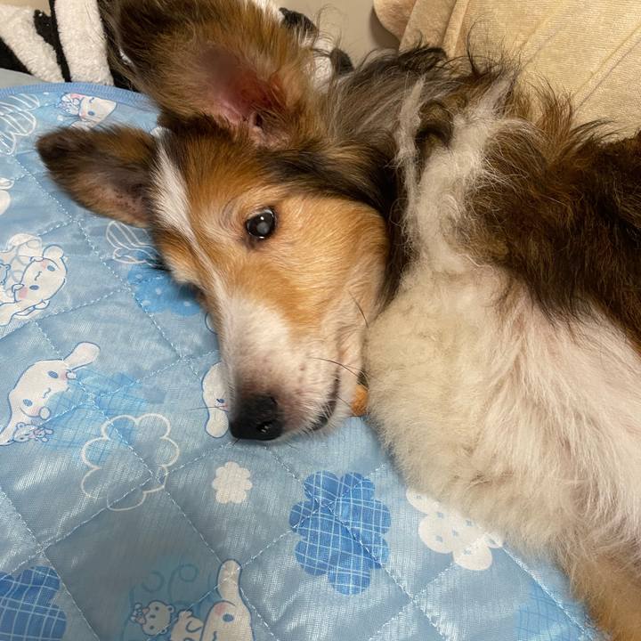 20f31417 55cd 4d44 b3b8 374447bd0852 1657198395473