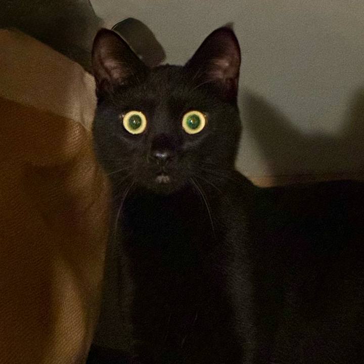 20f33f09 58e5 402a 9dfb 4e409f49a6f0 1745557061680