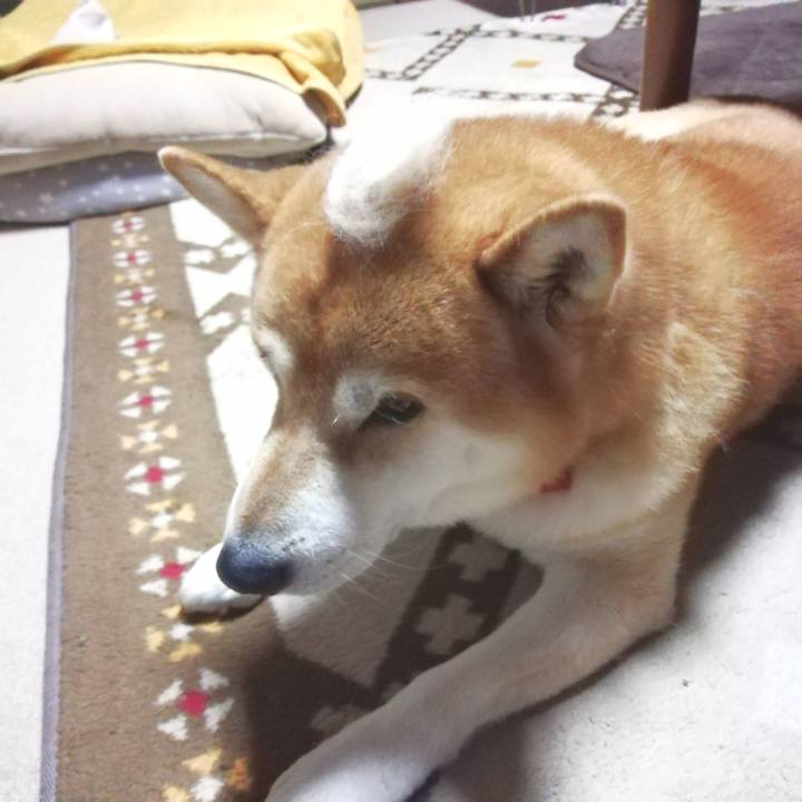 20f343cf ea66 490c ae0f 09dc1204b2e7 1635118527397