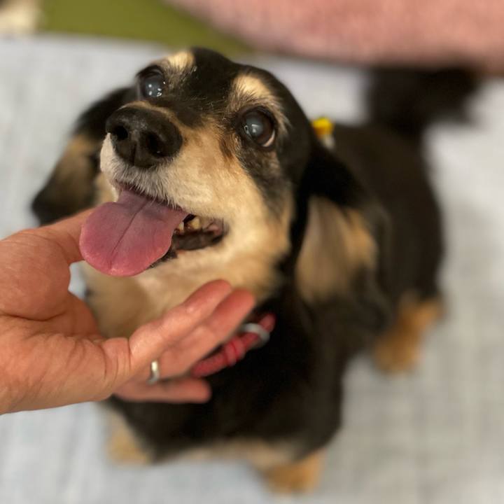 20f351cb 7115 47cb 8969 ef3ad2cf57fd 1654481294826