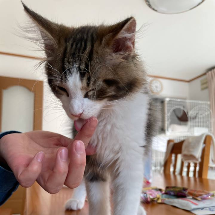 20f35937 ffa6 49e3 8e89 5900d8ab8cd7 1633156107592