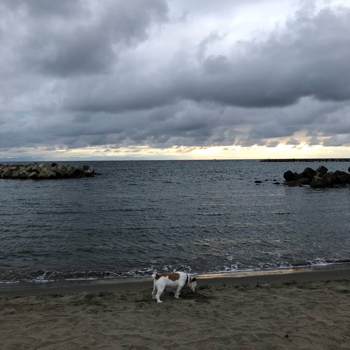 20f37fb7 9220 4fe8 8c44 a98c2986ea89 1593336978985