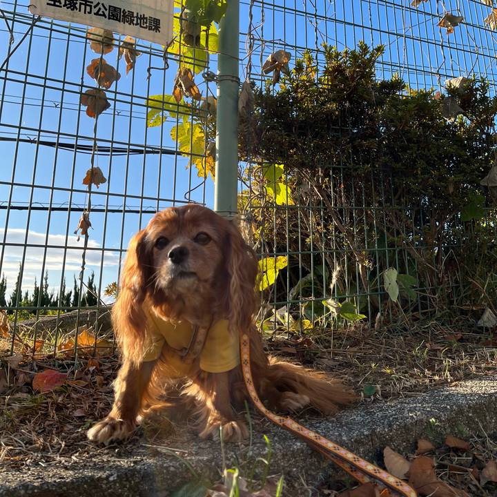 20f38617 9a11 41f0 92bc a1b8625bdd9f 1764808638150