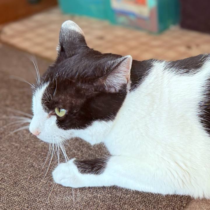 20f3c11c 990b 4043 a3bc ee91c09ec00f 1727400120621