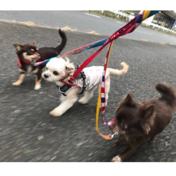 20f3dbc1 2e48 43d6 8681 44e7de19bdec 1570704291910