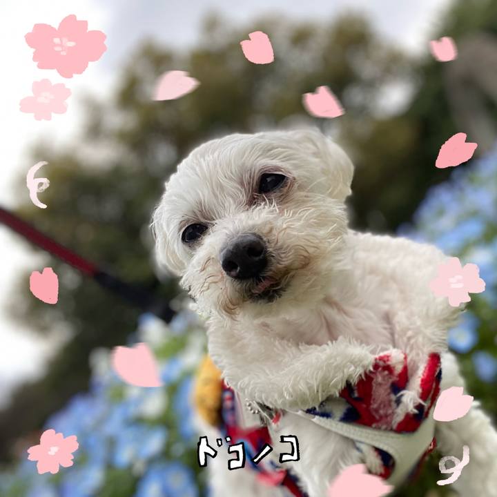 20f3ef05 4b9a 4d71 a61d 463d6e98624d 1744283489761