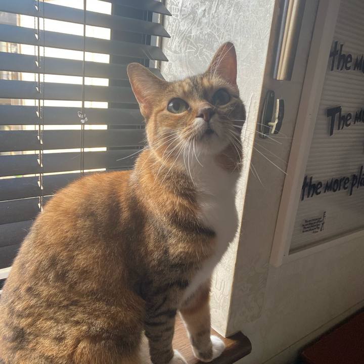 20f41858 9d11 4306 85cf c12a1a25d6c4 1658318144570