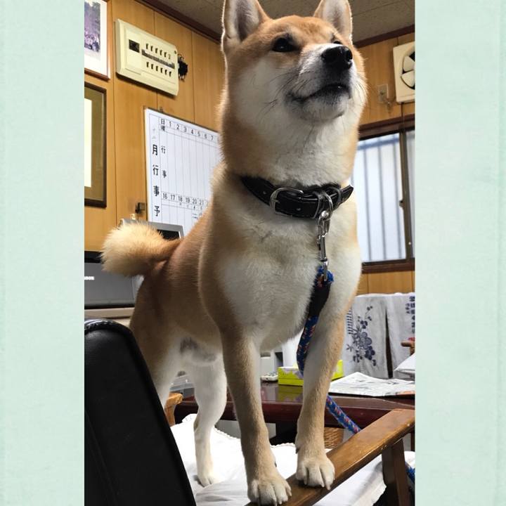 20f41a5f 170a 44f5 ba95 978e04b25216 1513582417192