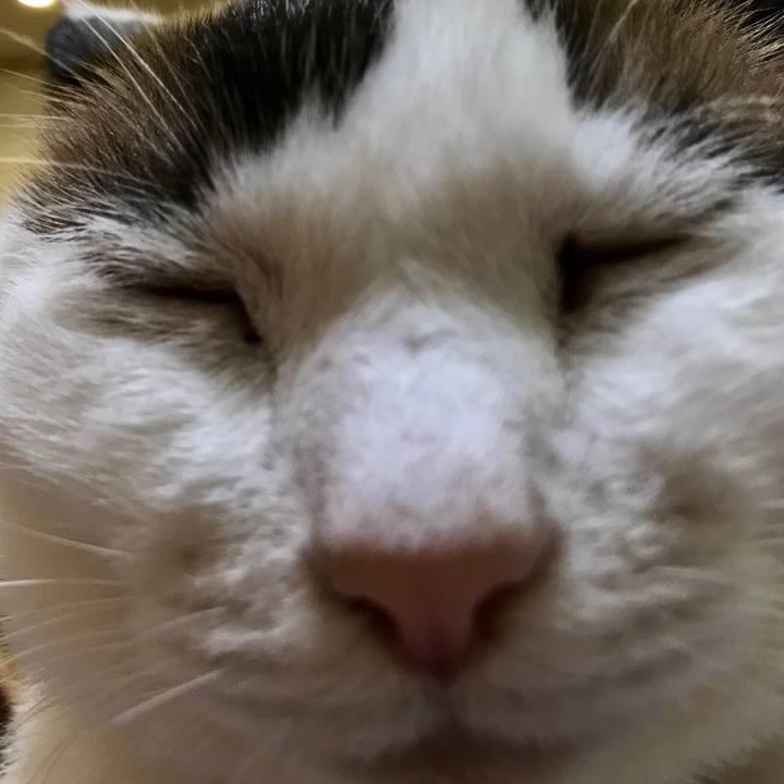 20f42c13 a29d 4cc8 82e8 08f961e55f7e 1539253696464