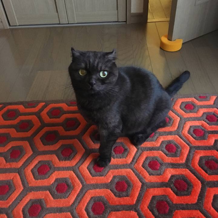 20f4687b 2cc5 49bd 8e7a 0f96b1a46be6 1541634527113