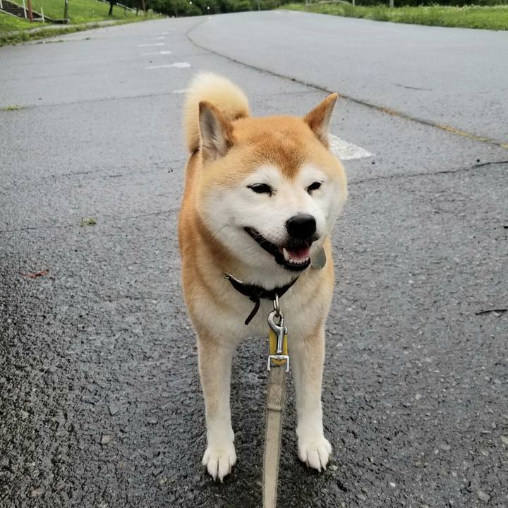 20f474cc f9ee 43d5 b47f 86bba6c6d252 1625383879552