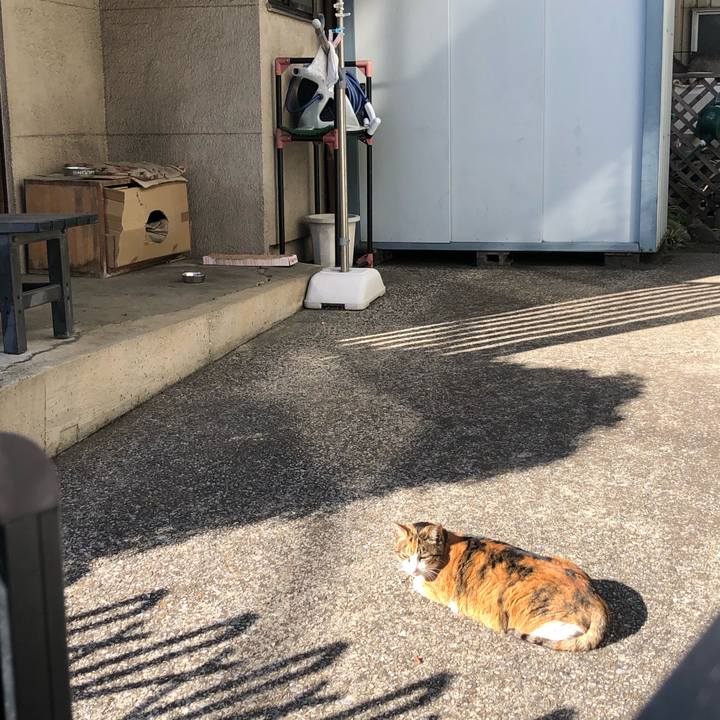 20f47e26 d408 4ba2 9243 5495b30b979c 1614441225217