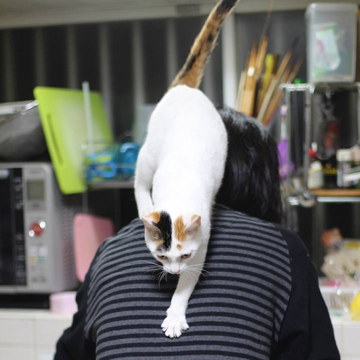 20f4889f 2dce 4ff2 ae0d d3c4c5b3cb4a 1561721404118