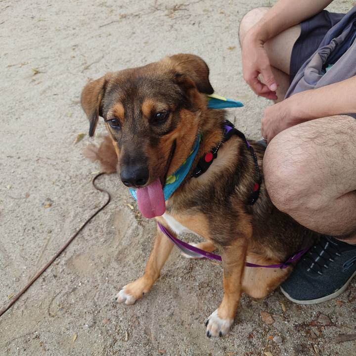 20f48f3f ddbd 4d41 9c41 1022efcb8201 1691380783465