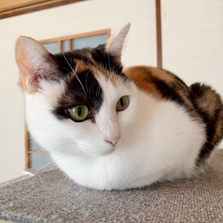 20f49de3 92d0 4717 be0e 90a8f45a0663 1549160254677