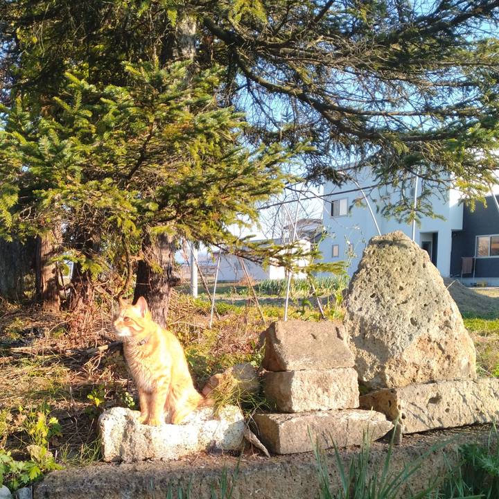 20f49ea5 0312 4391 9189 4b1242fb246e 1668235970453