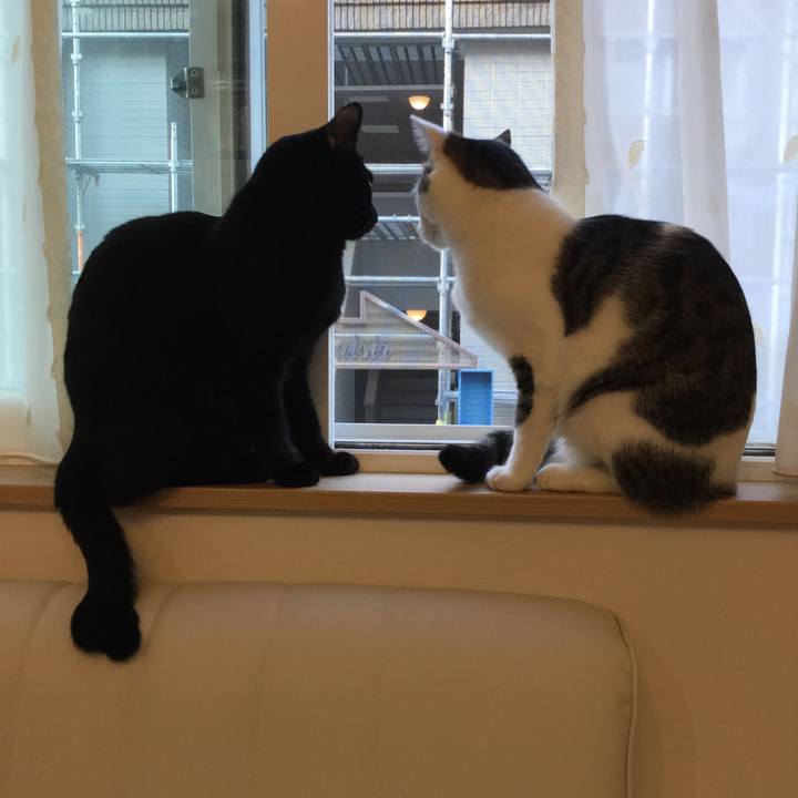 20f4c172 cf26 414c b1fa 509b972fe61d 1512624274902