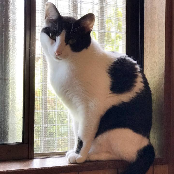 20f4f17d 1ded 4440 b6f9 ff7c796e0b0a 1527812996985