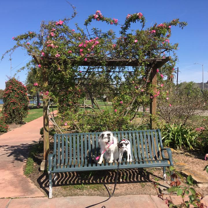 20f570a0 0290 4655 b98e 34485b9f4664 1583791170310