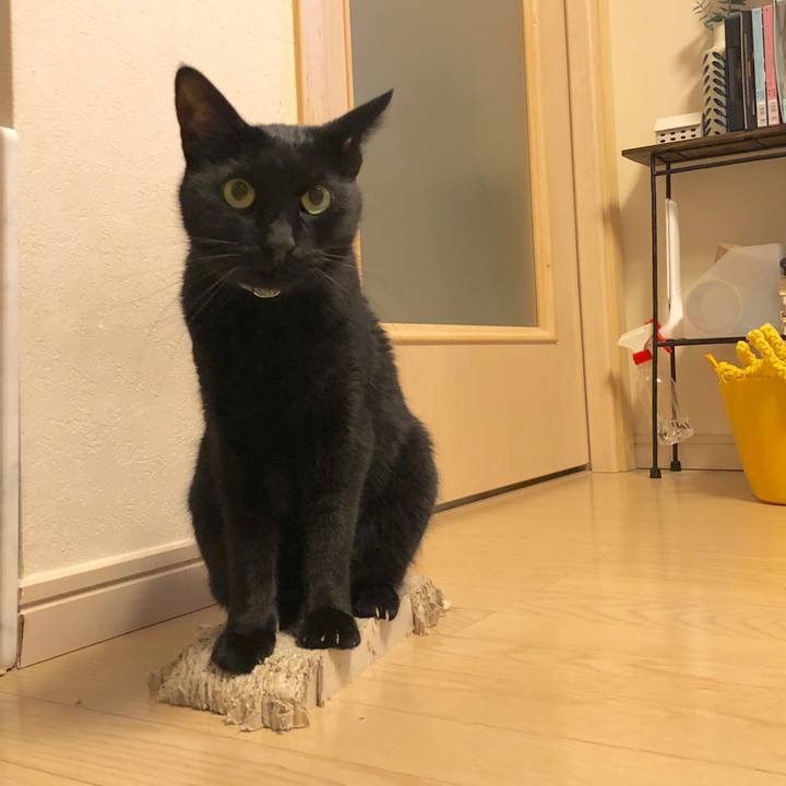 20f57ce2 3054 45d4 8f8c ee12a09150c4 1578907819024