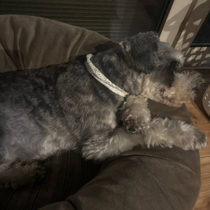 20f581de 04ff 4163 b732 5e443d0c7245 1719494547861