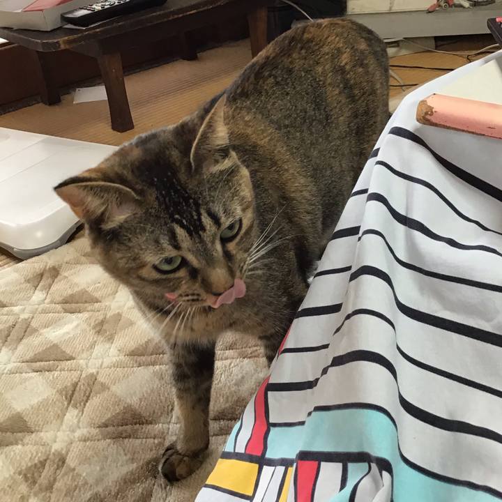 20f5c3a0 6593 424d a931 703756b343c5 1604709060901