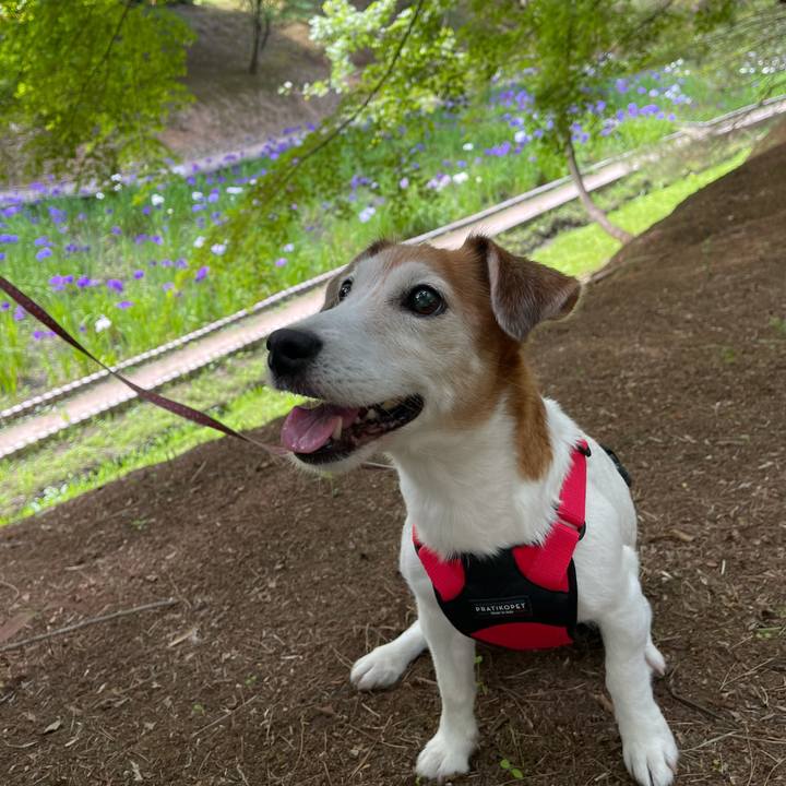 20f61de7 cb61 4494 8379 8050c276ae30 1627087708992