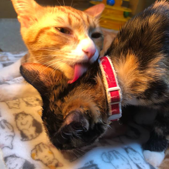 20f63cbb dd95 4838 aa47 40a4a7302721 1547643083308