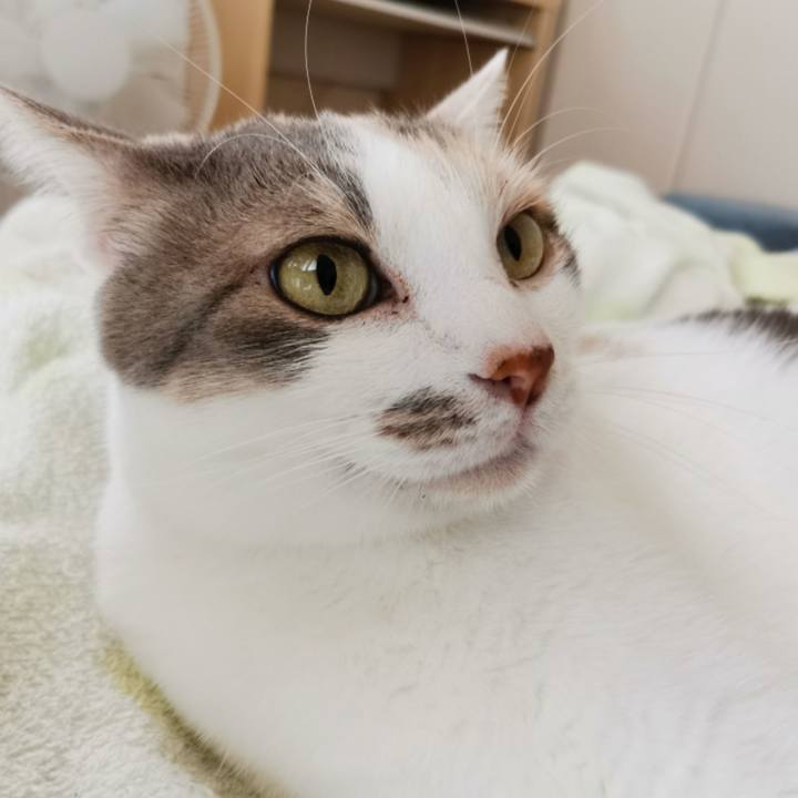 20f64c4b c162 433a b86d 2aa09bdc16e2 1626519852454